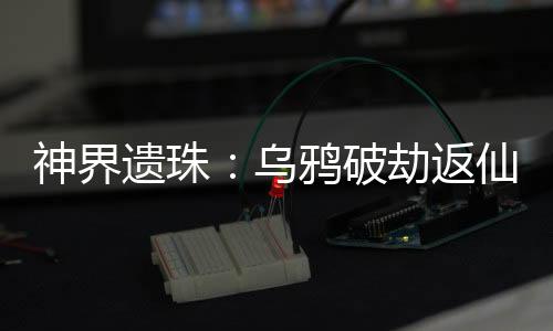 《大神你人设崩了》全文在线阅读