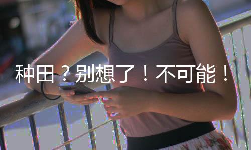 《回到九零，她在外科大佬圈火爆了》全文在线阅读