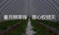 秦月照寒锋：墨心