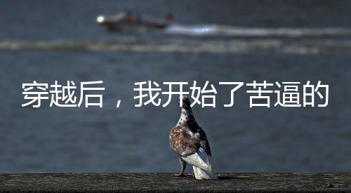 《疯批美人有小岛，年代大佬宠上心》全文在线阅读