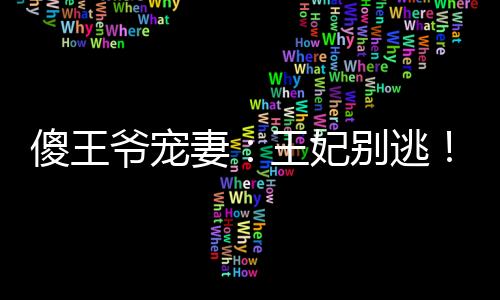 傻王爷宠妻：王妃别逃！