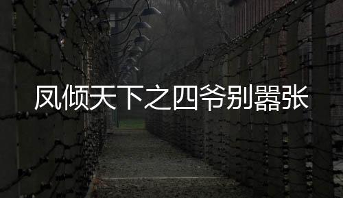 凤倾天下之四爷别嚣张