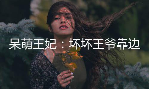 呆萌王妃：坏坏王爷靠边站