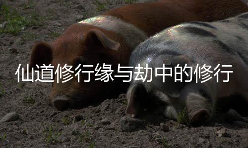 《席爷每天都想官宣》全文在线阅读