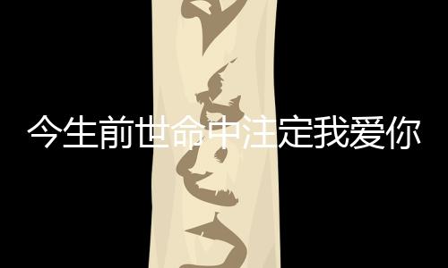 今生前世命中注定我爱你