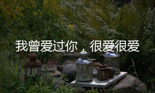 《全球贬值，我穿回来后带飞全家！》全文在线阅读