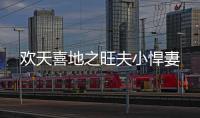 欢天喜地之旺夫小