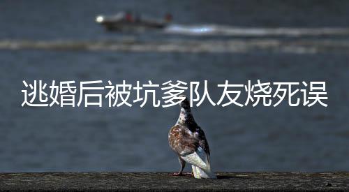 《别闹，薄先生！》全文在线阅读