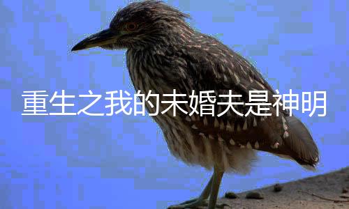 《全球贬值，我穿回来后带飞全家！》全文在线阅读