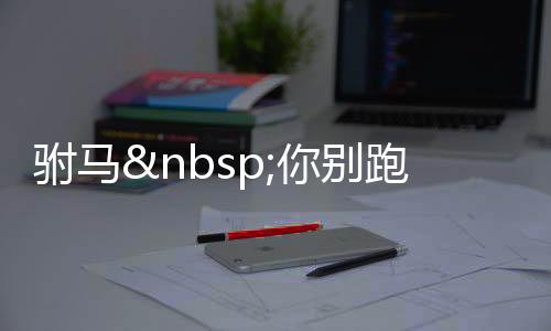 《疯批美人有小岛，年代大佬宠上心》全文在线阅读