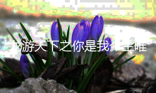 《入夜，娇软乖乖被京圈大佬吻哭了》全文在线阅读